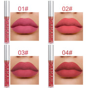 10-Piece Matte Lip Gloss Set  Waterproof & Non-Stick