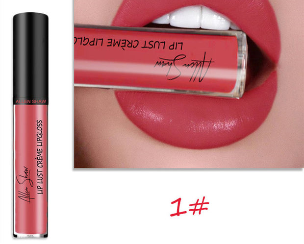 Silky Lip Glaze Creamy Glossy Lipstick