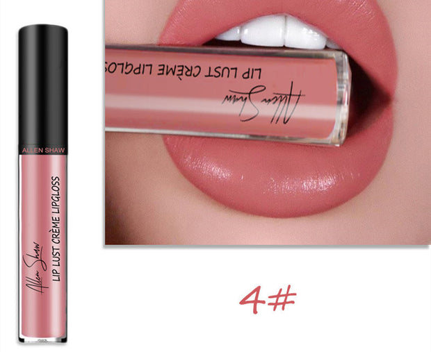 Silky Lip Glaze Creamy Glossy Lipstick