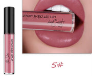 Silky Lip Glaze Creamy Glossy Lipstick